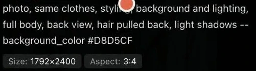 Saved prompt text specifying the background, lighting, full-body back view and light shadows